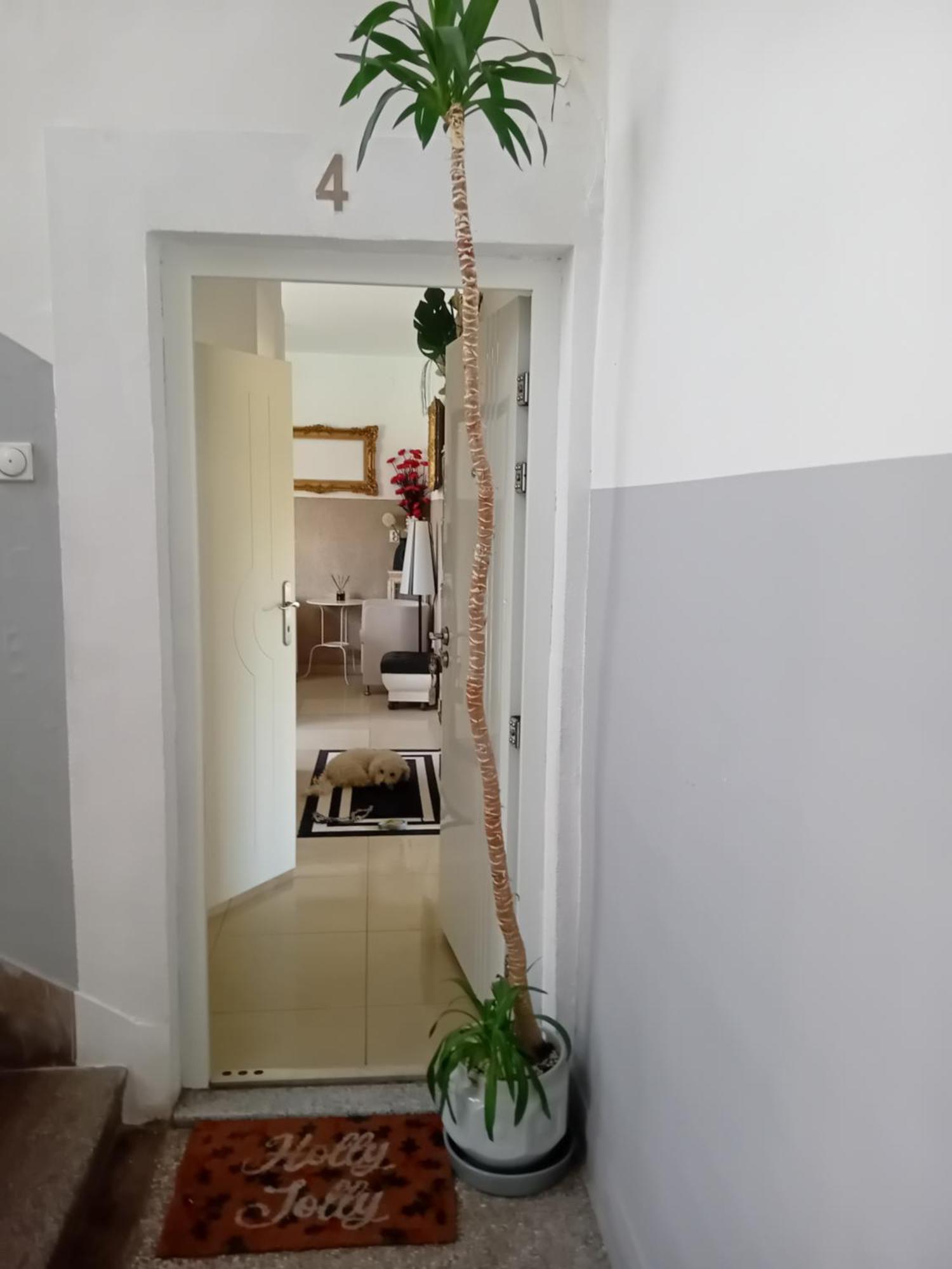Apartment Top Centar Banja Luka Extérieur photo